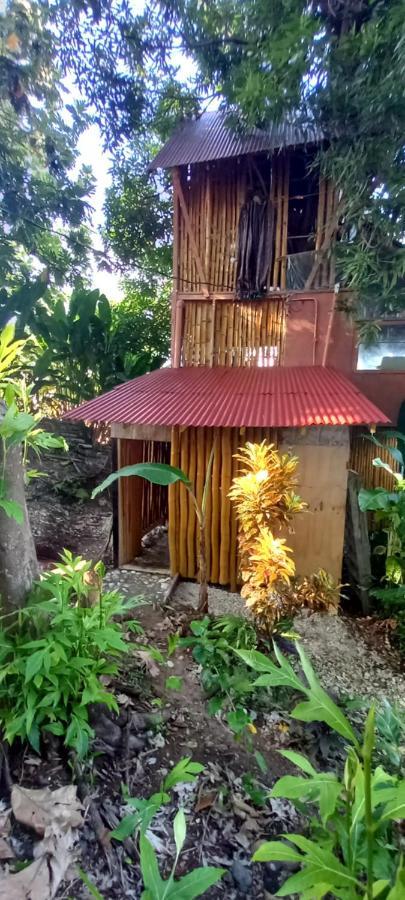 Treehouse Above The Beach Port Antonio Luaran gambar