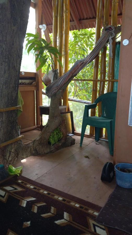 Treehouse Above The Beach Port Antonio Luaran gambar