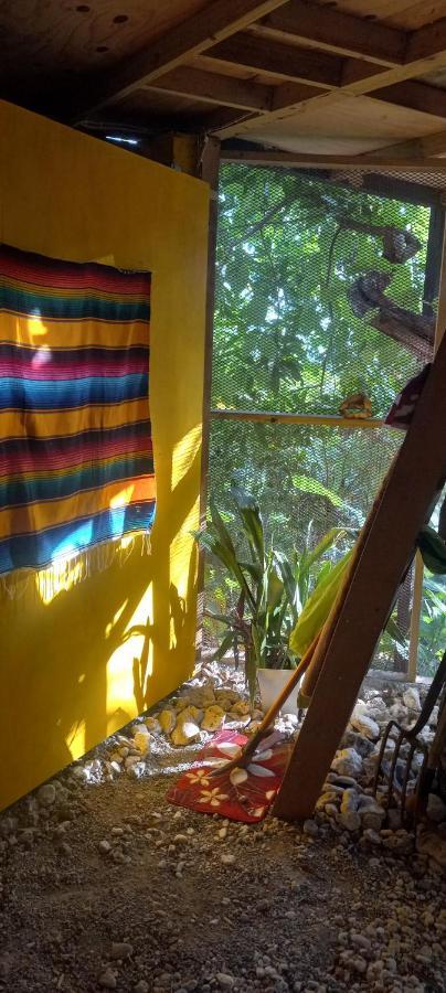 Treehouse Above The Beach Port Antonio Luaran gambar