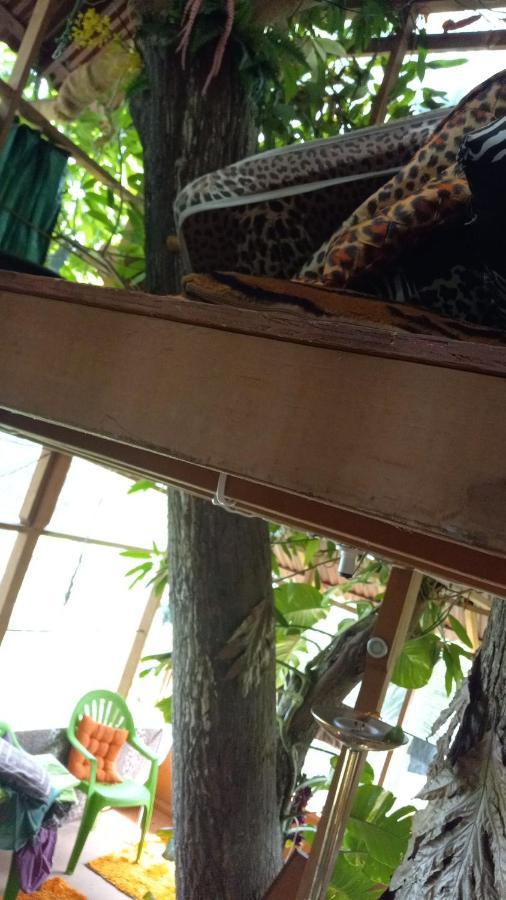 Treehouse Above The Beach Port Antonio Luaran gambar