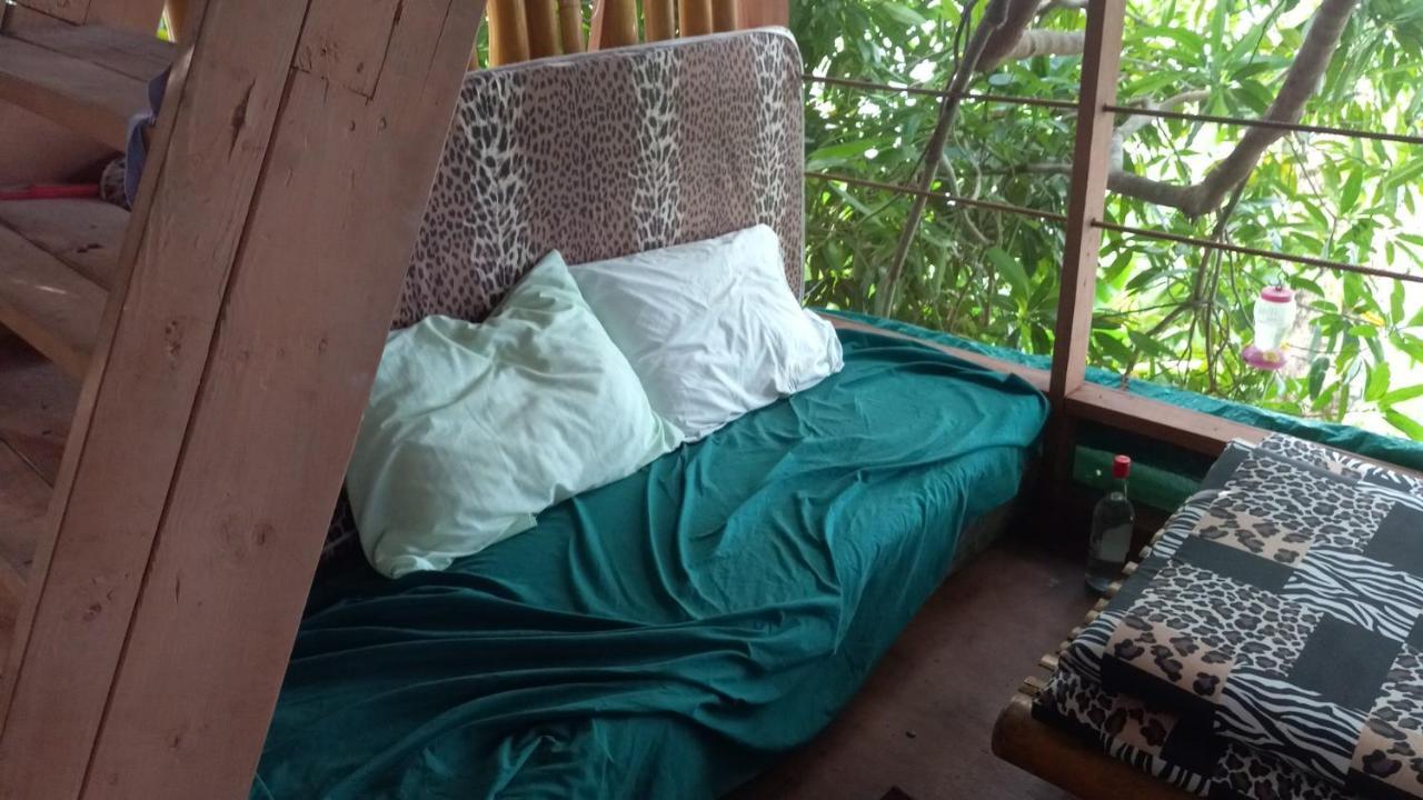 Treehouse Above The Beach Port Antonio Luaran gambar