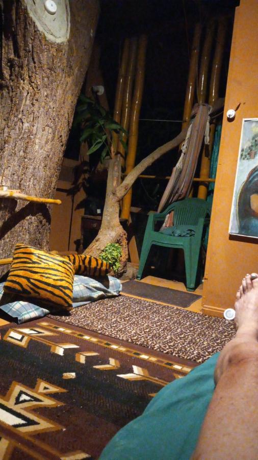 Treehouse Above The Beach Port Antonio Luaran gambar