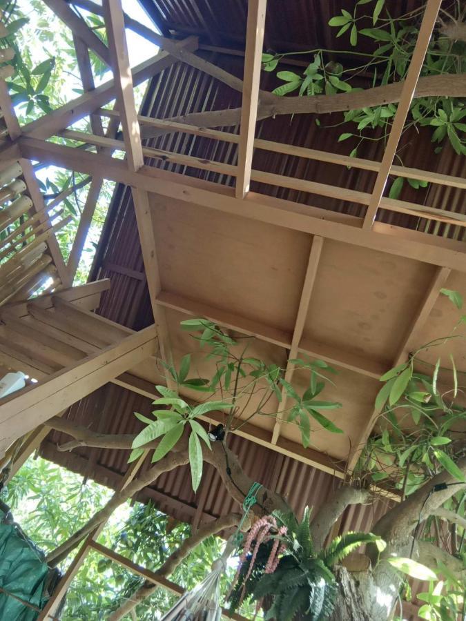 Treehouse Above The Beach Port Antonio Luaran gambar