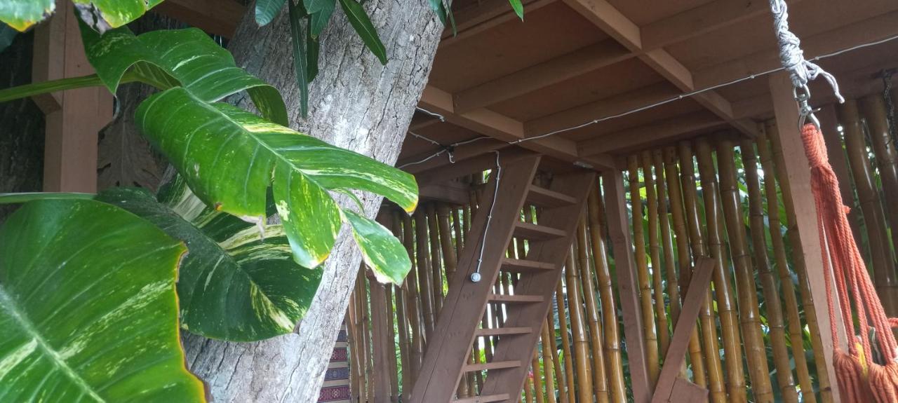 Treehouse Above The Beach Port Antonio Luaran gambar