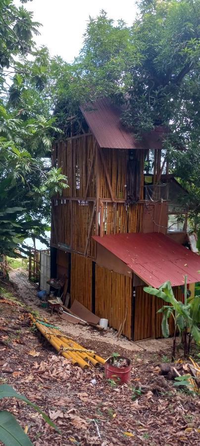 Treehouse Above The Beach Port Antonio Luaran gambar