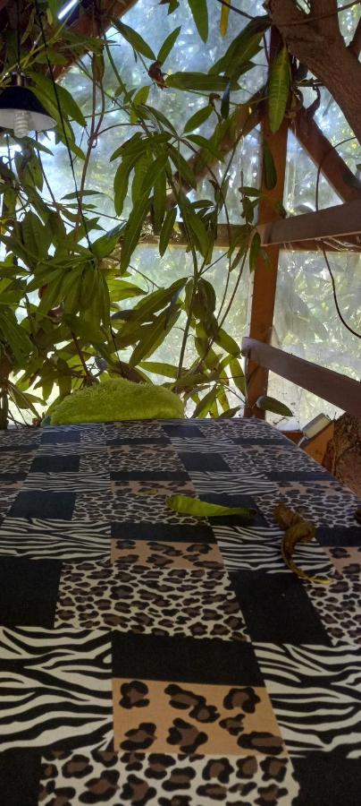 Treehouse Above The Beach Port Antonio Luaran gambar