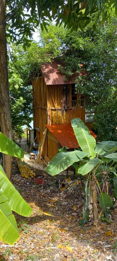 Treehouse Above The Beach Port Antonio Luaran gambar
