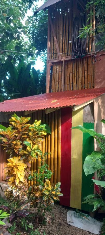 Treehouse Above The Beach Port Antonio Luaran gambar