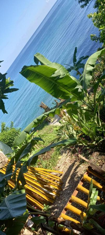 Treehouse Above The Beach Port Antonio Luaran gambar