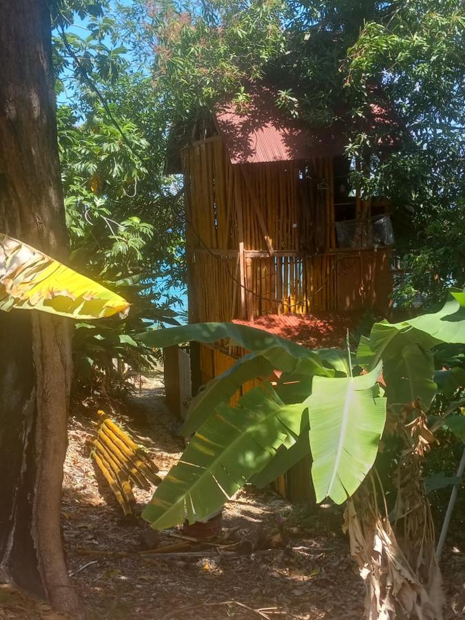 Treehouse Above The Beach Port Antonio Luaran gambar