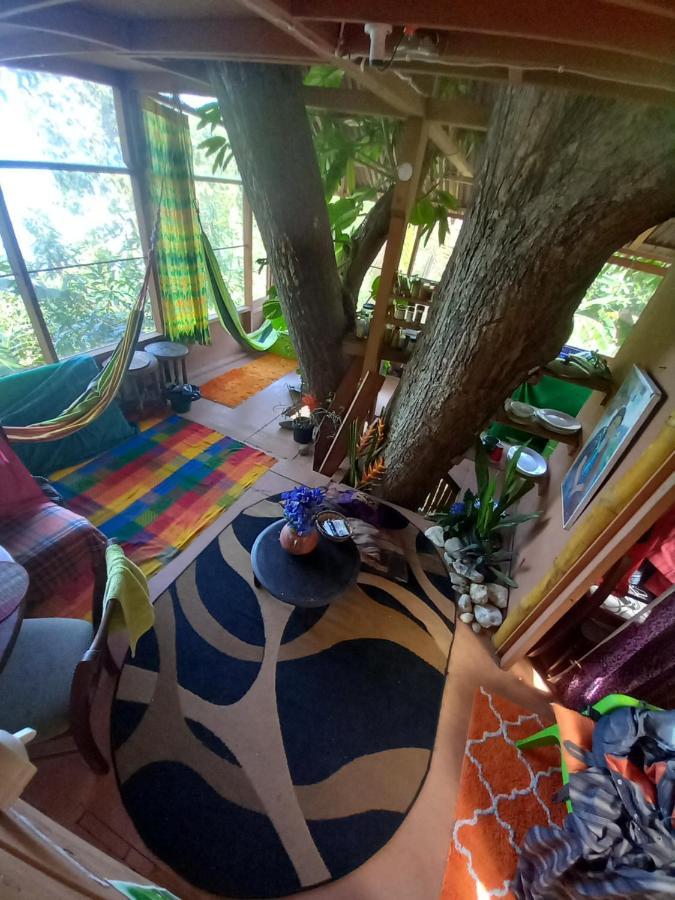 Treehouse Above The Beach Port Antonio Luaran gambar