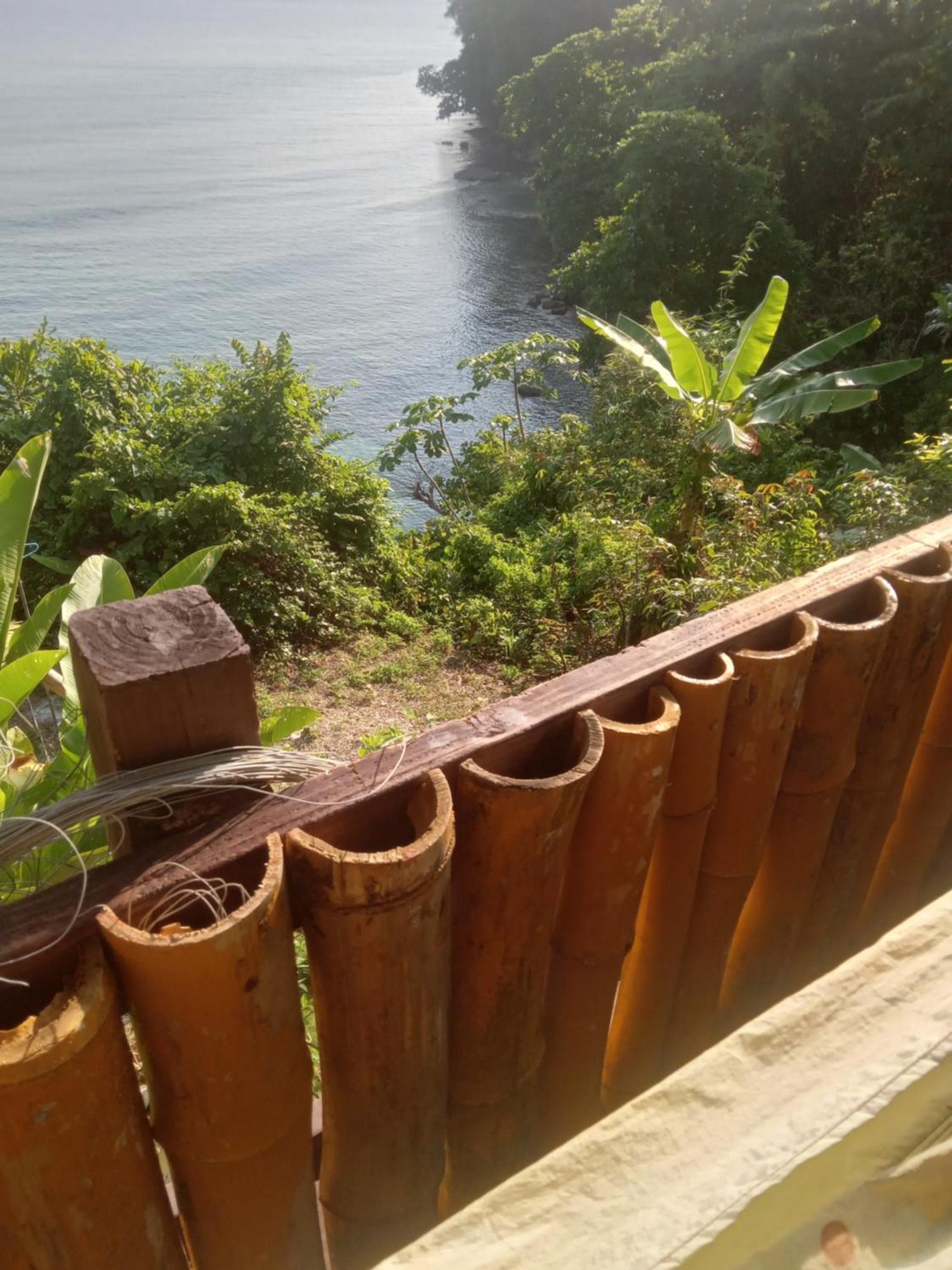 Treehouse Above The Beach Port Antonio Luaran gambar