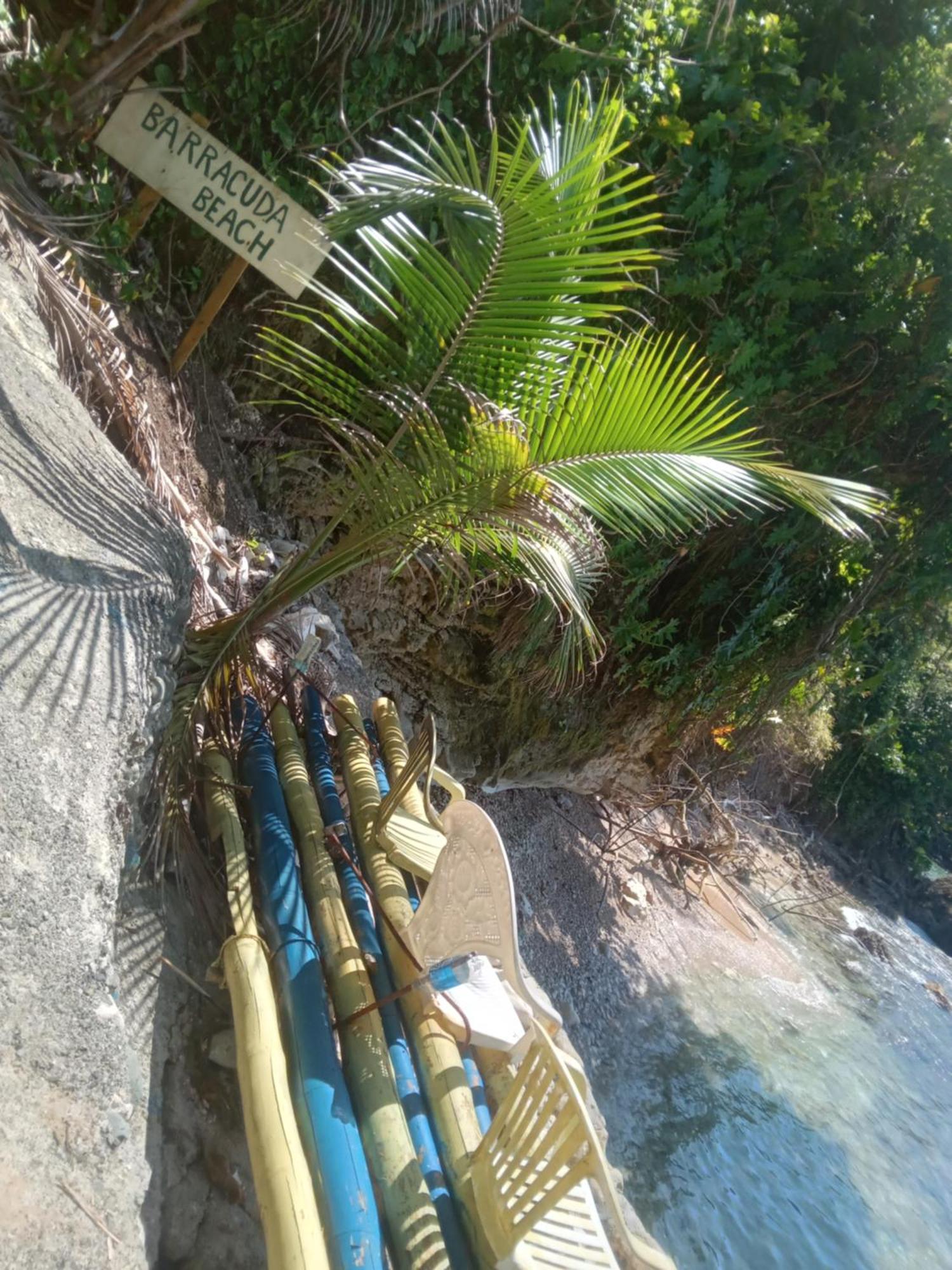 Treehouse Above The Beach Port Antonio Luaran gambar